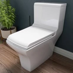 Cheap โจ EAGO Dual Flush One Piece Eco-Friendly High Efficiency Low Flush Ceramic Toilet ๐