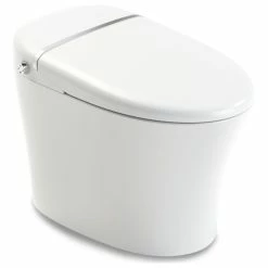 Best reviews of 😀 ANZZI ENVO Aura Smart Bidet Toilet With Remote & Auto Flush 😍