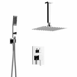 Deals ๐ Inolav Davis Shower Set, Two Functions, Brushed Nickel ๐