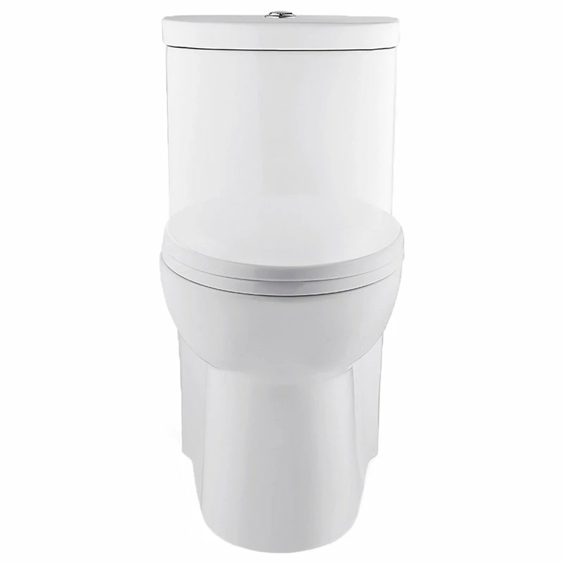 Cheap ๐ Swiss Madison Sublime One Piece Elongated Toilet, Glossy White, Dual Flush ๐ - Image 2